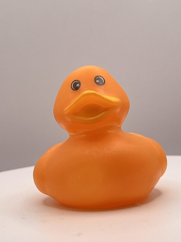 Orange Rubber Ducks