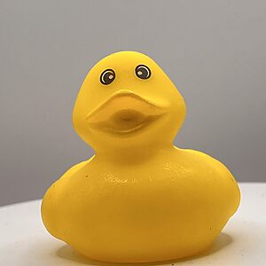 All Yellow Rubber Ducks