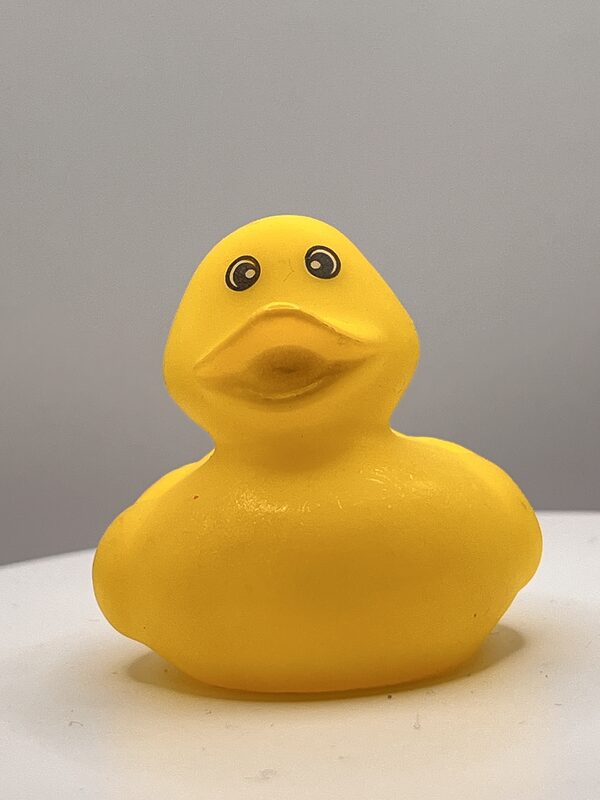 All Yellow Rubber Ducks