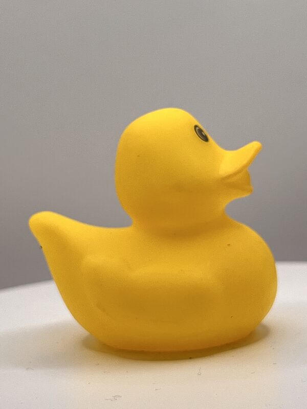 All Yellow Rubber Ducks - Image 2