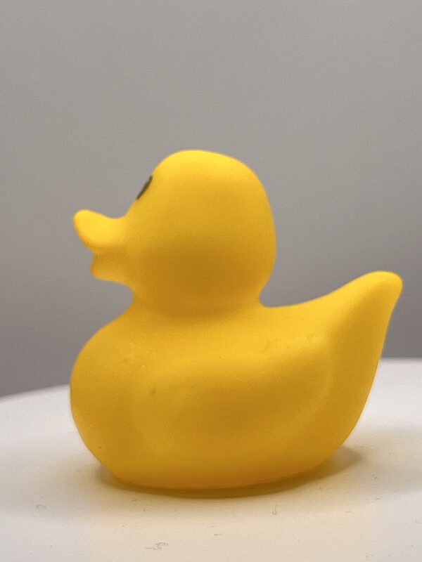 All Yellow Rubber Ducks - Image 3