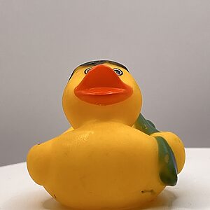 Surfer Rubber Ducks