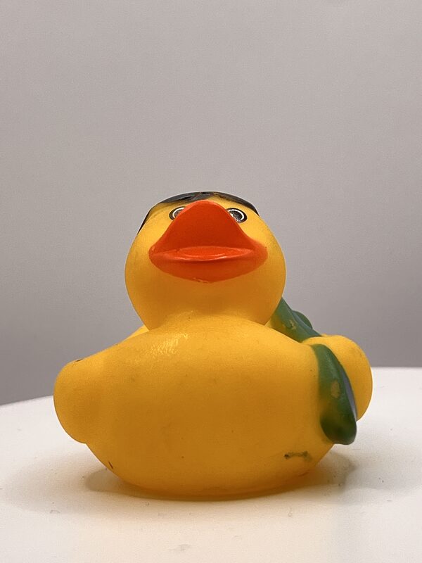 Surfer Rubber Ducks