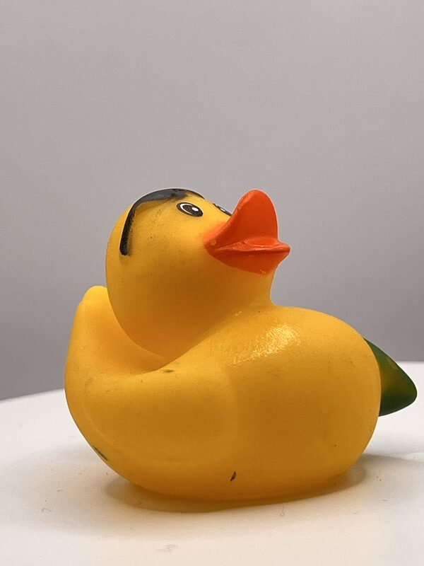 Surfer Rubber Ducks - Image 2