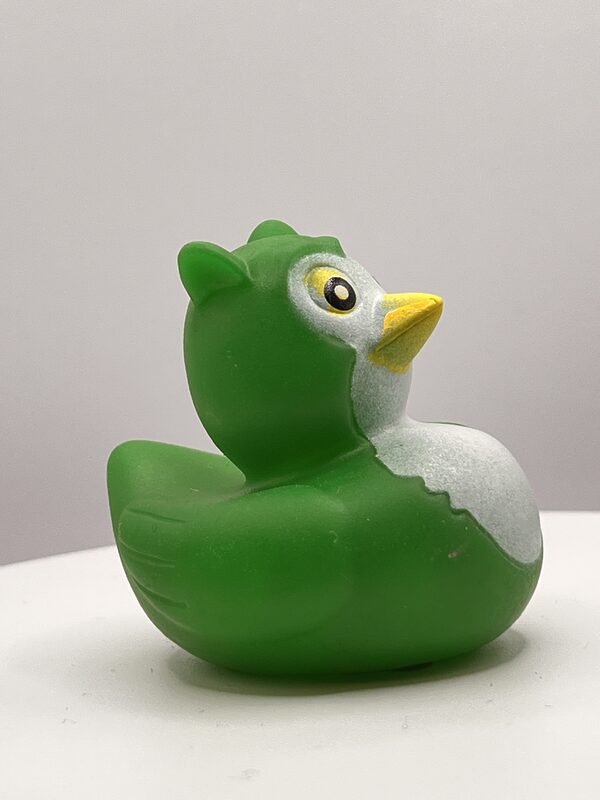 Green Owl Disguise Rubber Ducks - Image 3