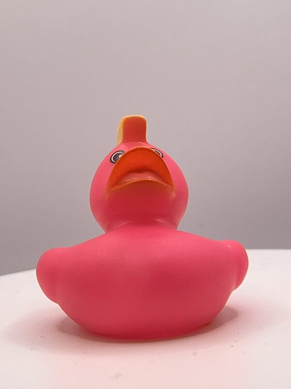 Yellow Mohican, Pink Rubber Ducks