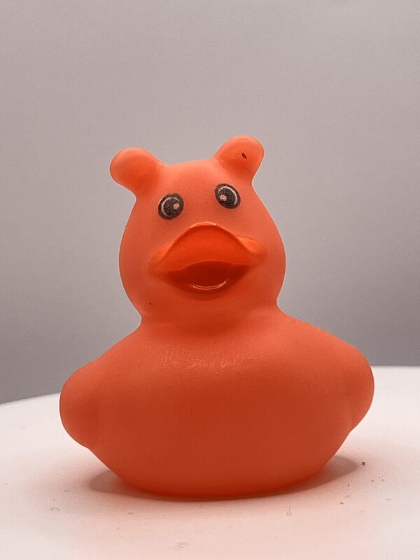 Pig Disguise Rubber Ducks