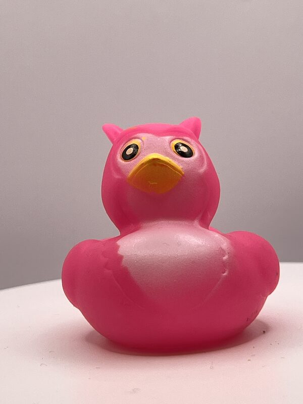 Pink Owl Disguise Rubber Ducks