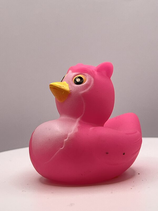 Pink Owl Disguise Rubber Ducks - Image 2