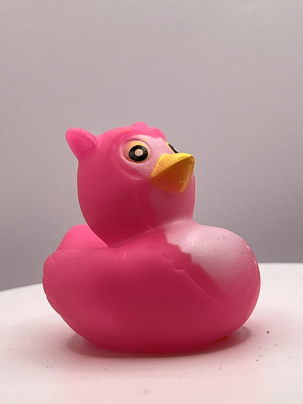 Pink Owl Disguise Rubber Ducks - Image 3