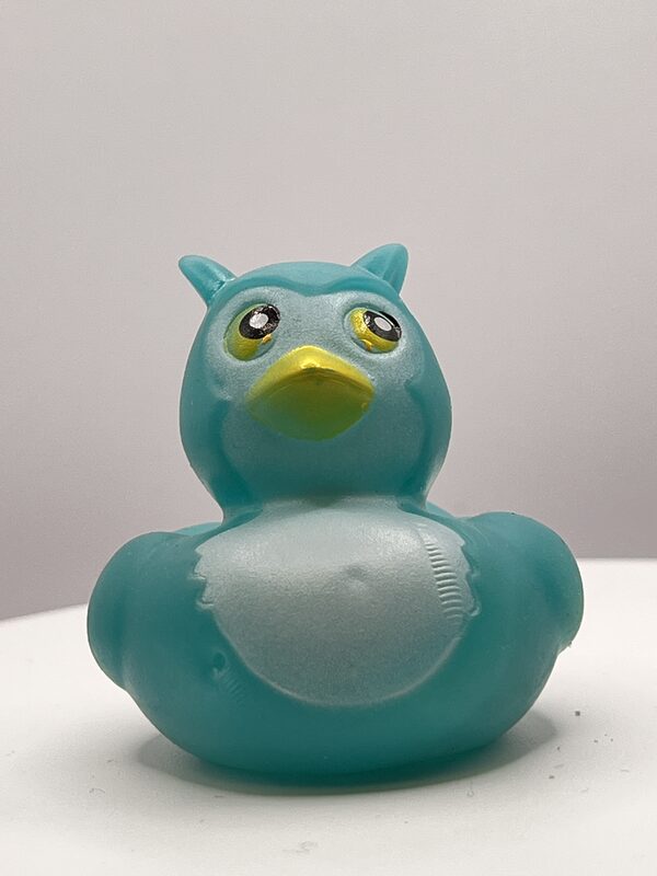 Turquiose Owl Disguise Rubber Ducks