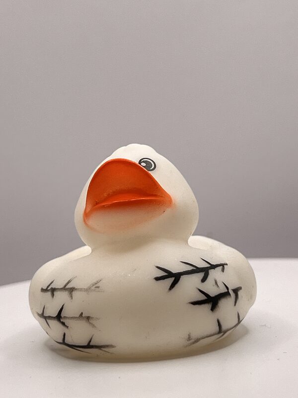 Black & White Rubber Ducks