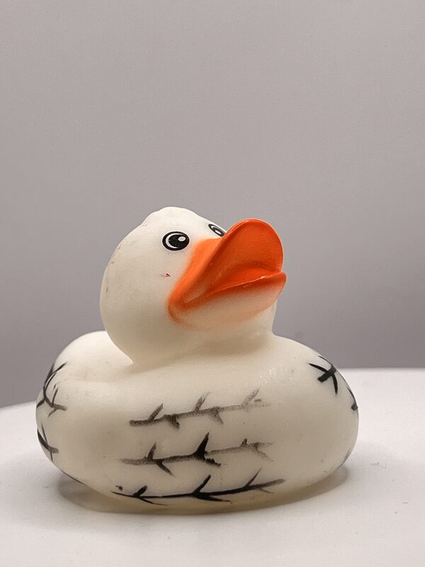 Black & White Rubber Ducks - Image 3
