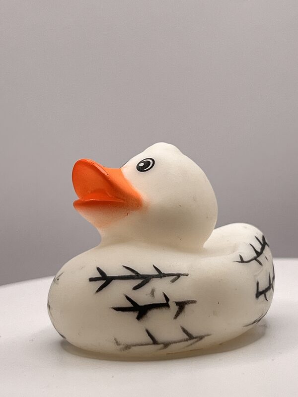 Black & White Rubber Ducks - Image 2