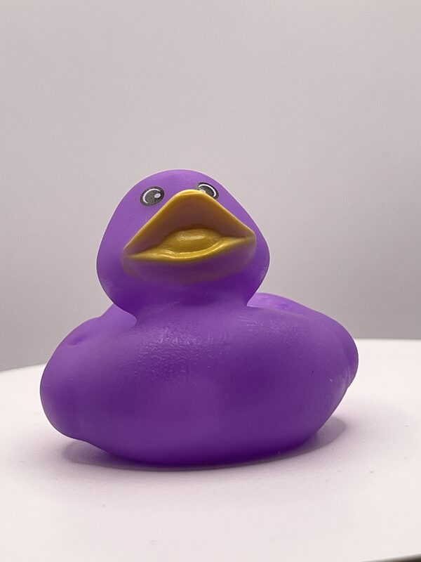 Purple Rubber Ducks