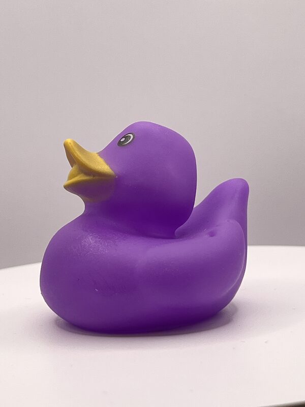 Purple Rubber Ducks - Image 3