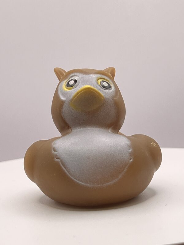 Brown Owl Disguise Rubber Ducks