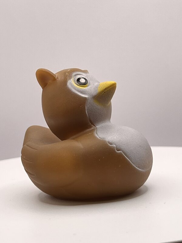 Brown Owl Disguise Rubber Ducks - Image 2