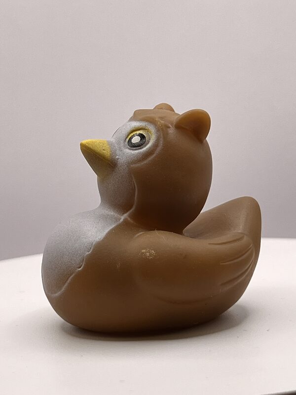 Brown Owl Disguise Rubber Ducks - Image 3
