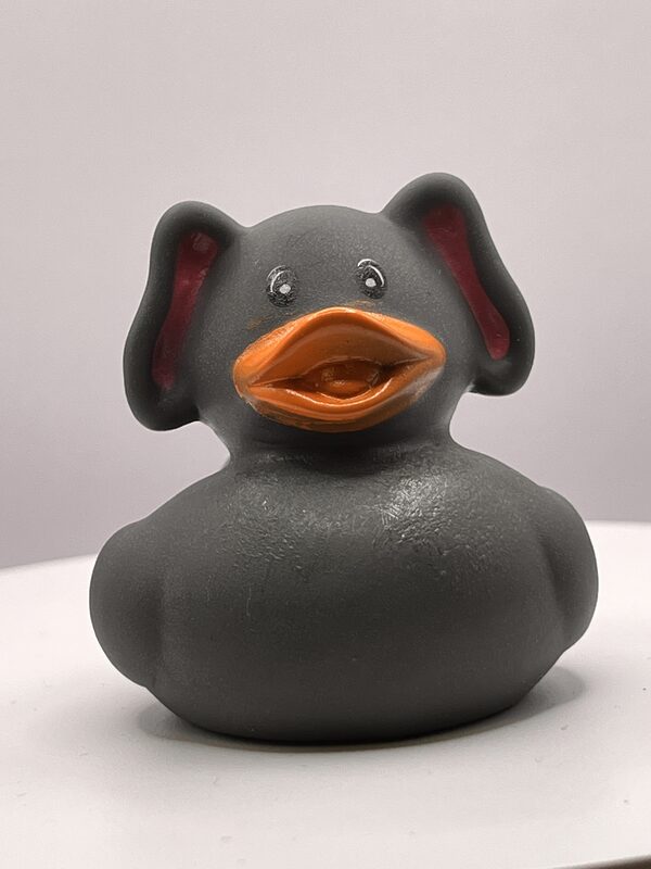 Elephant Disguise Rubber Ducks