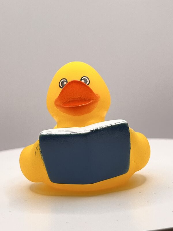 Yellow Bookworm Rubber Ducks