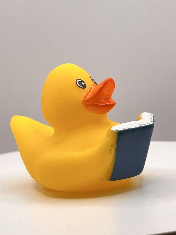 Yellow Bookworm Rubber Ducks - Image 3