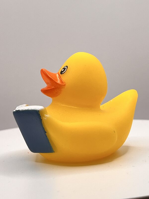 Yellow Bookworm Rubber Ducks - Image 2