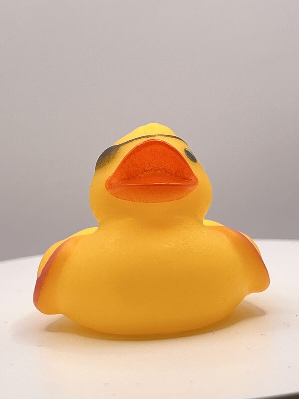 Eye Patch Pirate Rubber Ducks