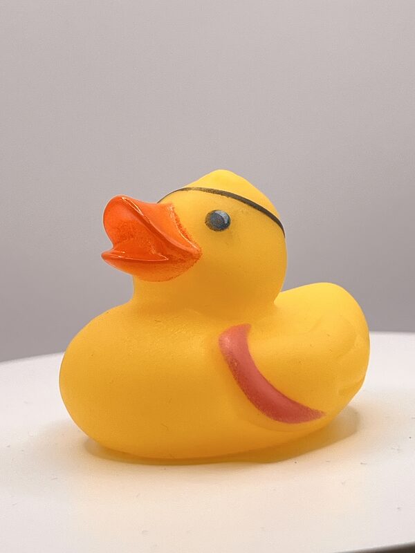 Eye Patch Pirate Rubber Ducks - Image 2
