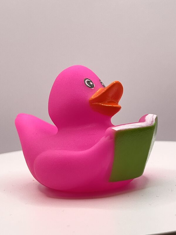 Pink Bookworm Rubber Ducks - Image 3