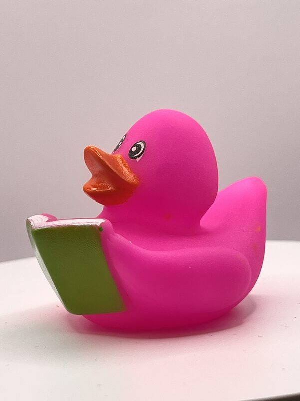 Pink Bookworm Rubber Ducks - Image 2