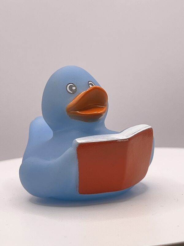 Blue Bookworm Rubber Ducks - Image 3