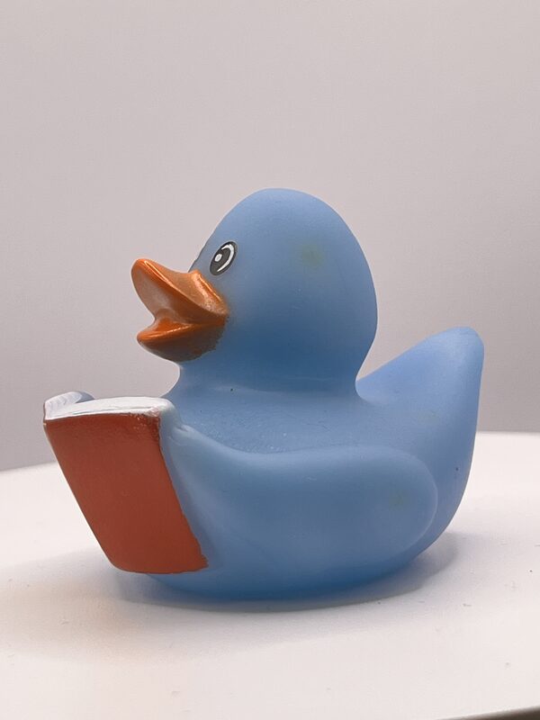 Blue Bookworm Rubber Ducks - Image 2
