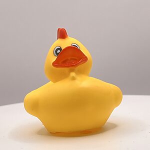 Chicken Disguise Rubber Ducks