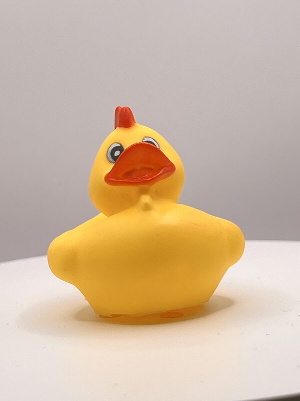 Chicken Disguise Rubber Ducks