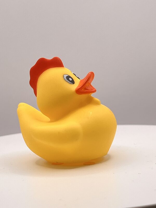 Chicken Disguise Rubber Ducks - Image 2