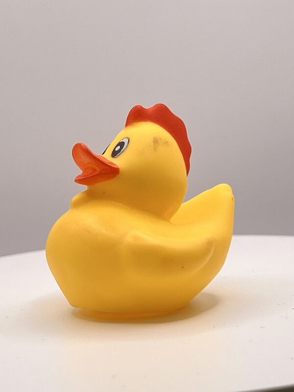 Chicken Disguise Rubber Ducks - Image 3