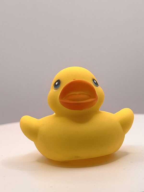 Squat Yellow with Orange Bill Rubber Ducks