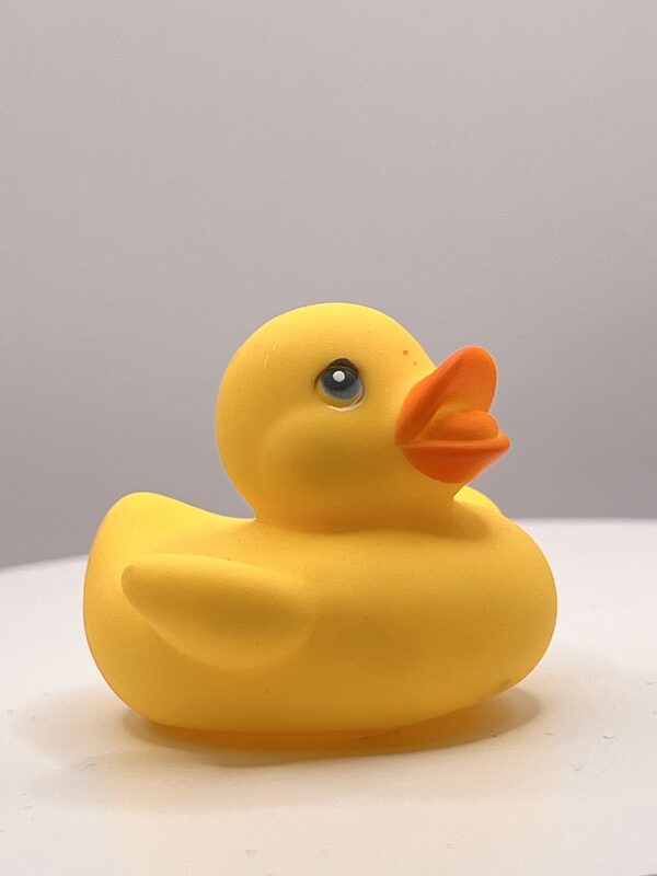 Squat Yellow with Orange Bill Rubber Ducks - Image 3