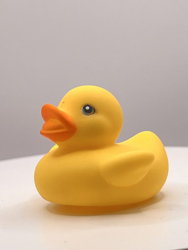 Squat Yellow with Orange Bill Rubber Ducks - Image 2